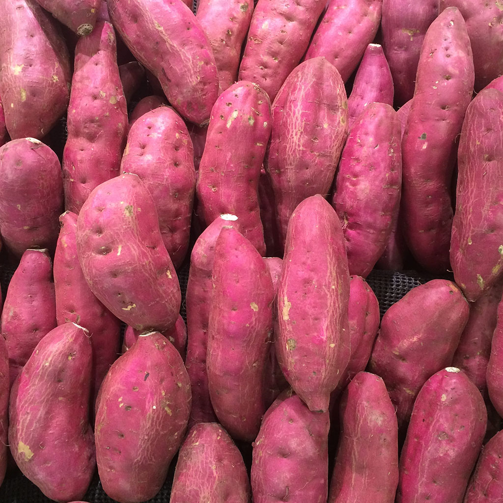 Sweet Potato