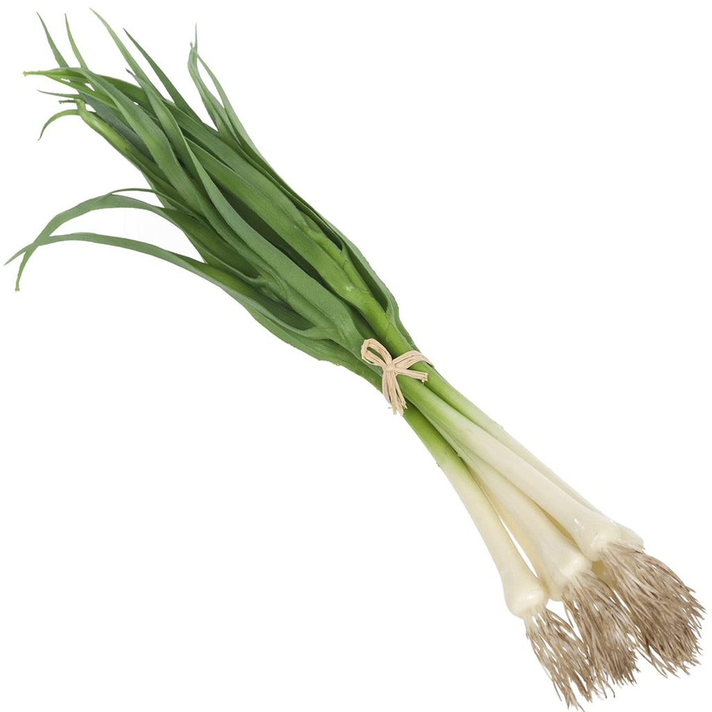 Spring Onion